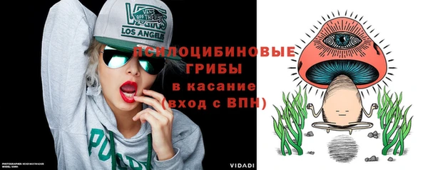 дурь Ельня