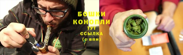 дурь Ельня