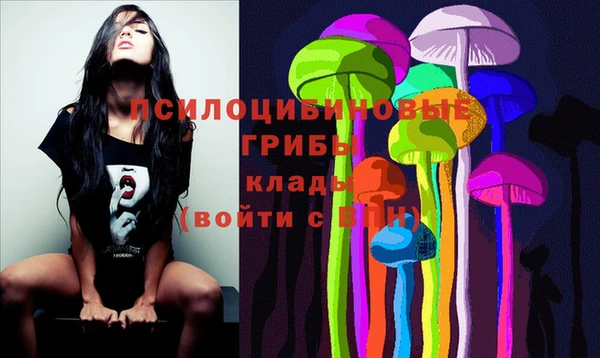 дурь Ельня
