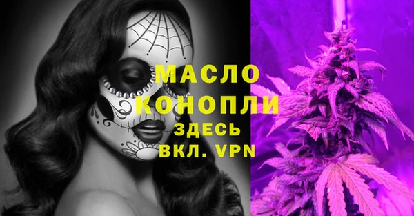 дурь Ельня