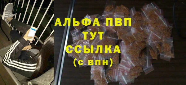 дурь Ельня