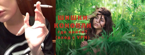 дурь Ельня