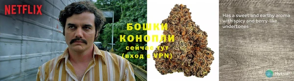 дурь Ельня
