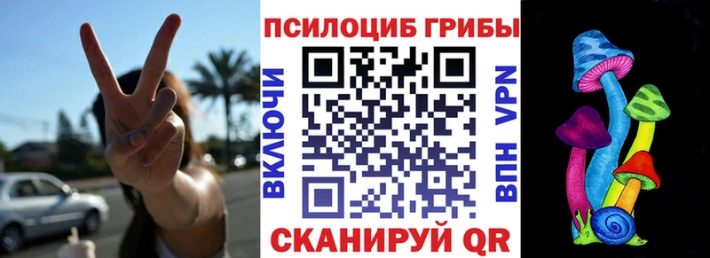 Псилоцибиновые грибы мицелий  Купить где  Чита 